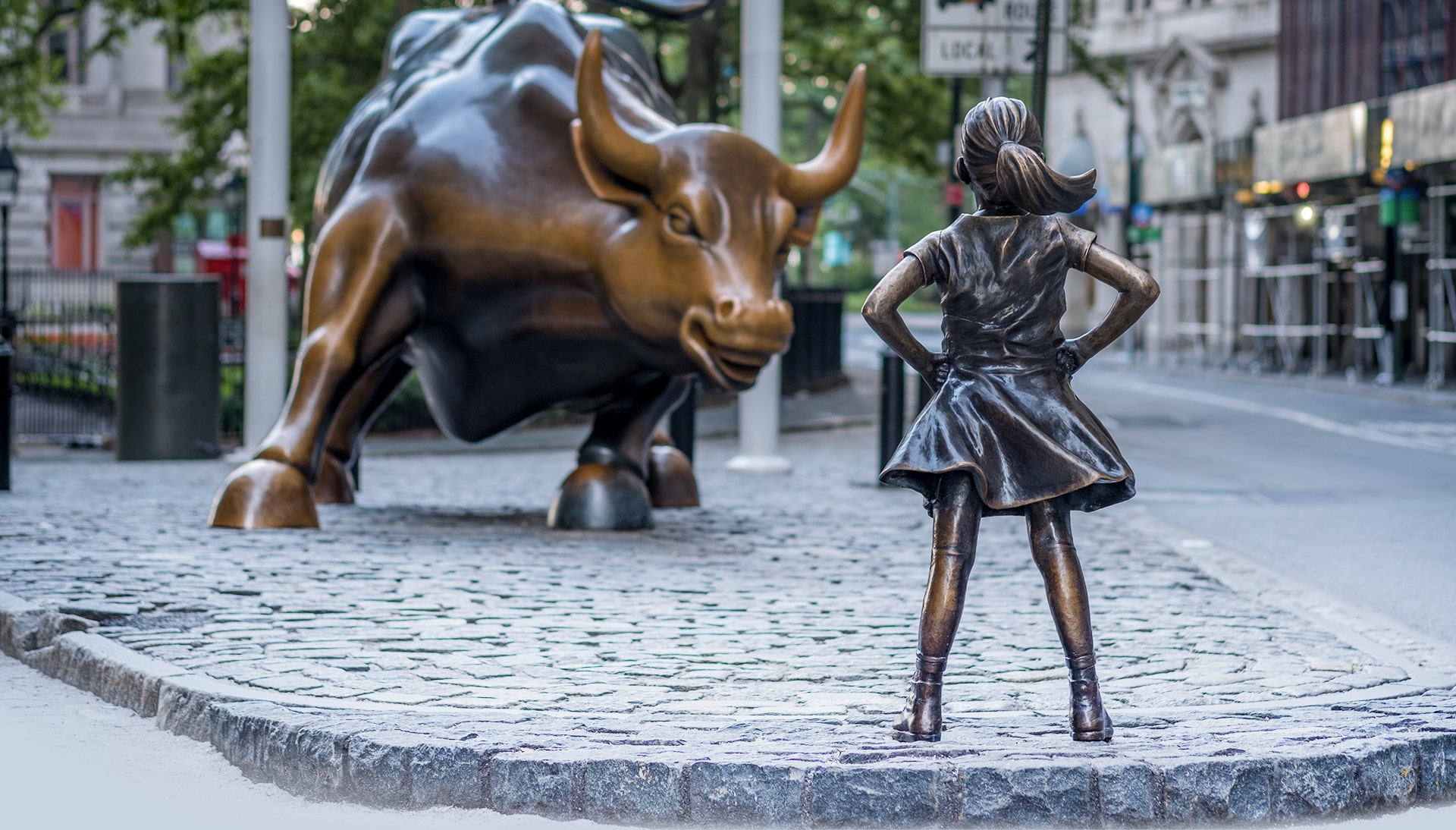 About Netcapital Advisors